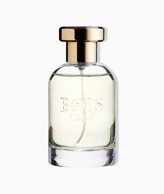 BOIS 1920